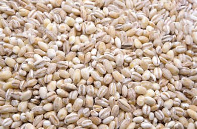 Barley