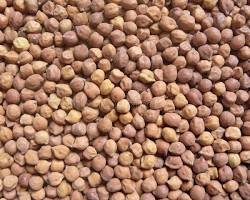 Bengal Gram