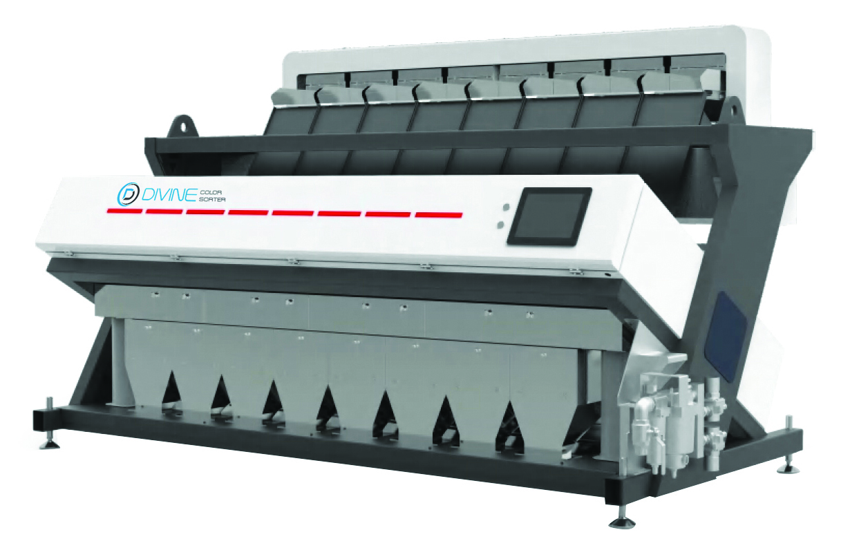divinecolorsorter