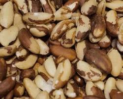 Brazil Nuts