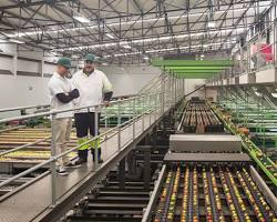 Dry Fruit Processing Units