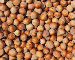 Hazelnuts
