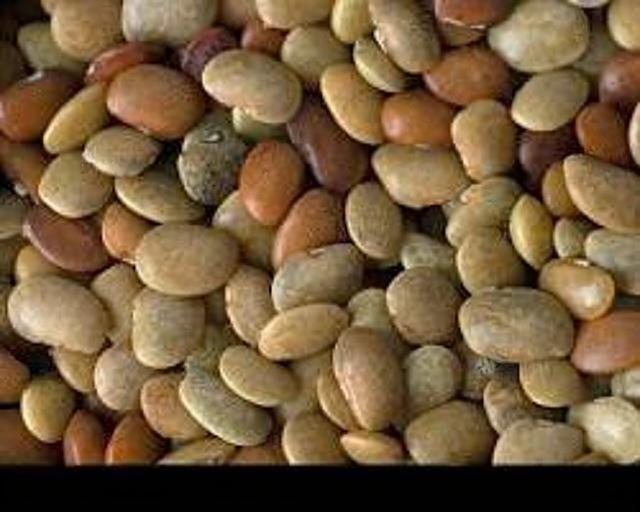 Horse Gram