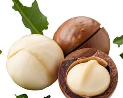 Macadamia Nuts