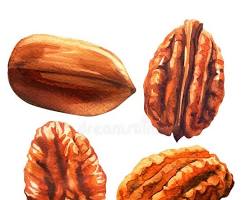 Pecans