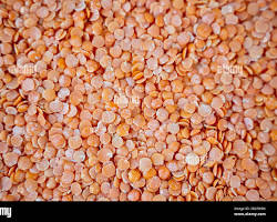 Red Gram